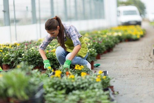 Detailed hedge trimming service in Covent Garden